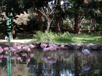Rundreise Lanzarote, Fuerteventura – Naturpark Oasis Park
