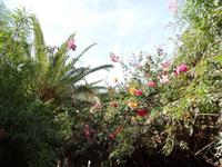 Rundreise Lanzarote, Fuerteventura – Naturpark Oasis Park