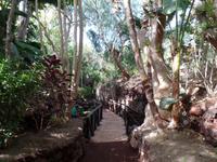 Rundreise Lanzarote, Fuerteventura – Naturpark Oasis Park