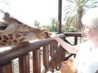 Rundreise Lanzarote, Fuerteventura – Naturpark Oasis Park