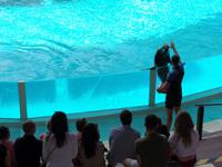 Rundreise Lanzarote, Fuerteventura – Naturpark Oasis Park