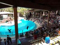 Rundreise Lanzarote, Fuerteventura – Naturpark Oasis Park