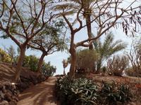 Rundreise Lanzarote, Fuerteventura – Naturpark Oasis Park