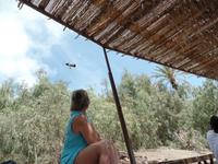 Rundreise Lanzarote, Fuerteventura – Naturpark Oasis Park