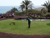 Rundreise Lanzarote, Fuerteventura – Naturpark Oasis Park