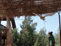 Rundreise Lanzarote, Fuerteventura – Naturpark Oasis Park