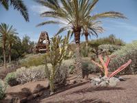 Rundreise Lanzarote, Fuerteventura – Naturpark Oasis Park