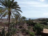 Rundreise Lanzarote, Fuerteventura – Naturpark Oasis Park