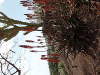 Rundreise Lanzarote, Fuerteventura – Naturpark Oasis Park