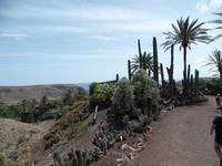 Rundreise Lanzarote, Fuerteventura – Naturpark Oasis Park