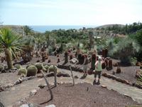 Rundreise Lanzarote, Fuerteventura – Naturpark Oasis Park