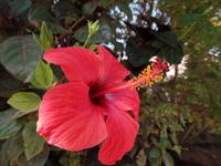 Rundreise Lanzarote, Fuerteventura – Naturpark Oasis Park