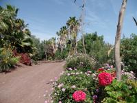 Rundreise Lanzarote, Fuerteventura – Naturpark Oasis Park