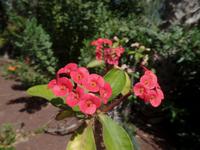 Rundreise Lanzarote, Fuerteventura – Naturpark Oasis Park