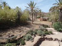 Rundreise Lanzarote, Fuerteventura – Naturpark Oasis Park