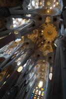 Im Säulenwald der Sagrada Familia
