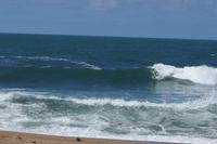 Wellenreiter Biarritz