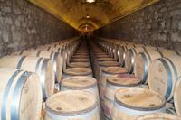 Weinkeller Bodega Herederos Marquéz de Riscal