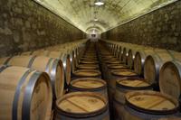 Weinkeller Bodega Herederos Marquéz de Riscal