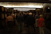 Bei Freixenet im Keller