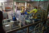 Freixenets Abfüllanlage