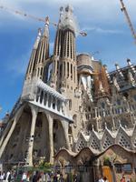 Barcelona Petit Exklusive Städtereise in kleiner Gruppe (104)