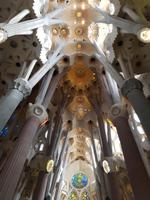 Barcelona Petit Exklusive Städtereise in kleiner Gruppe (99)