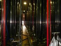 Oliven Öl Fabrik Luque (10)