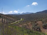 Vía Verde del Aceite (7)