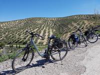 Vía Verde del Aceite (9)