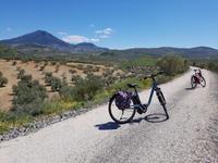 Vía Verde del Aceite (14)