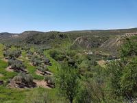 Vía Verde del Aceite (17)