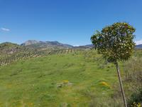 Vía Verde del Aceite (18)