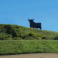 Camino Rural de la Campiña (9)