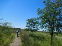 Camino Rural de la Campiña (11)