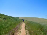 Camino Rural de la Campiña (13)
