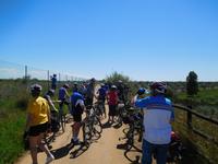 Camino Rural de la Campiña (14)