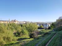 Córdoba (11)