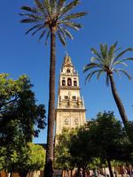Córdoba (20)