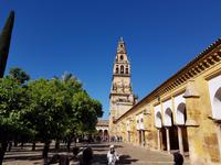 Córdoba (40)