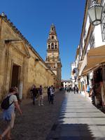 Córdoba (56)