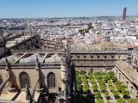 Sevilla (16)
