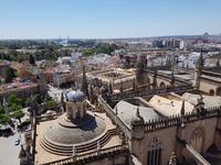 Sevilla (17)