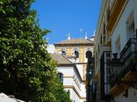 Sevilla (41)