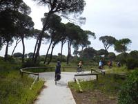 Doñana Park (49)