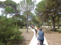 Doñana Park (50)