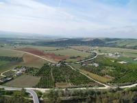 Arcos de la Frontera (12)