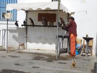 Arcos de la Frontera (14)