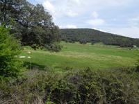 Sierra de Grazalema (1)