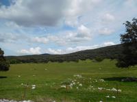 Sierra de Grazalema (2)